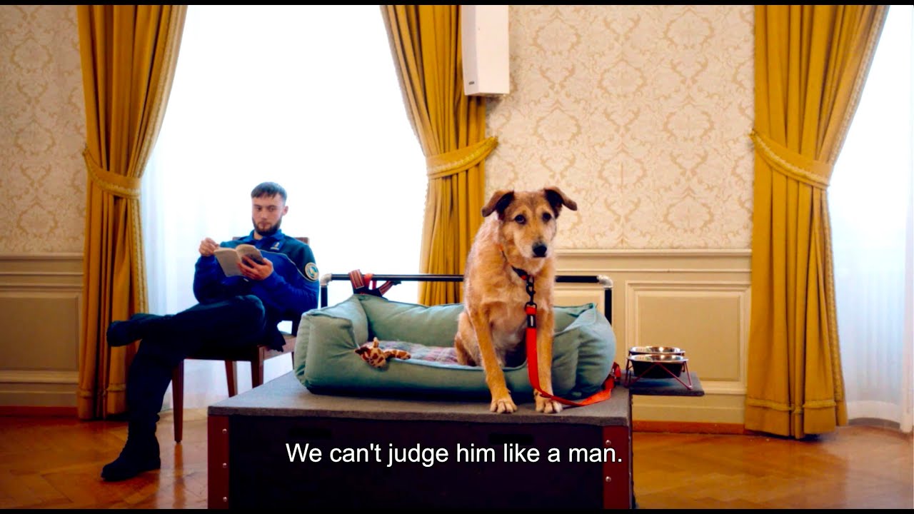 Dog on Trial Trailer