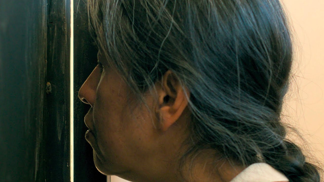 Identifying Features Trailer